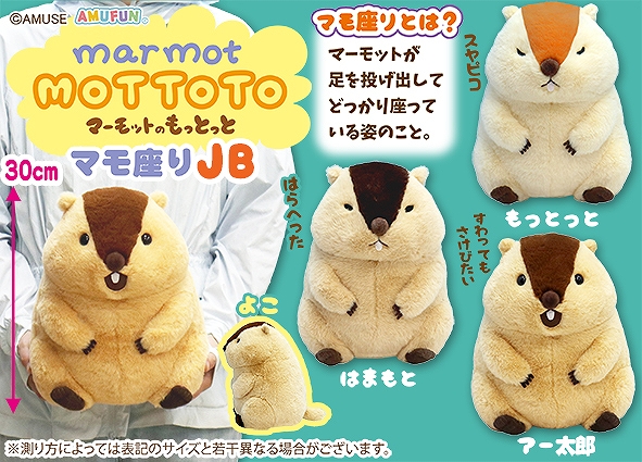 マーモットのもっとっとマモ座りJB