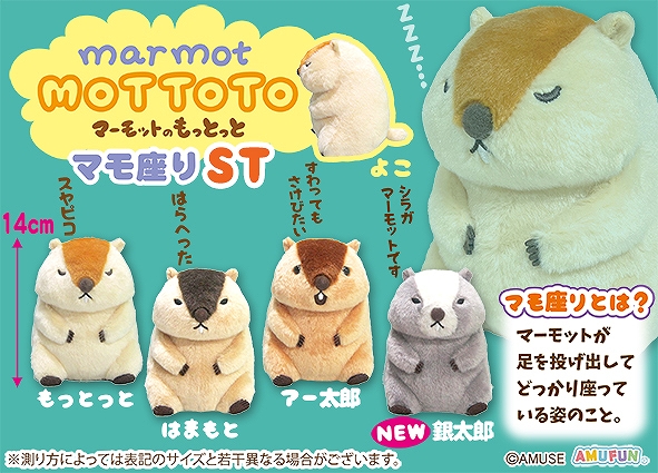 マーモットのもっとっとマモ座り