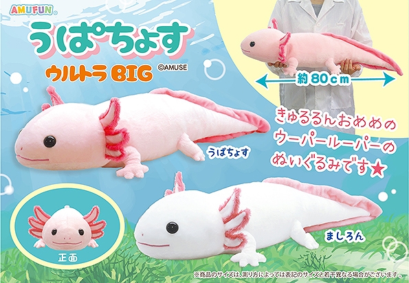 うぱちょすウルトラBIG