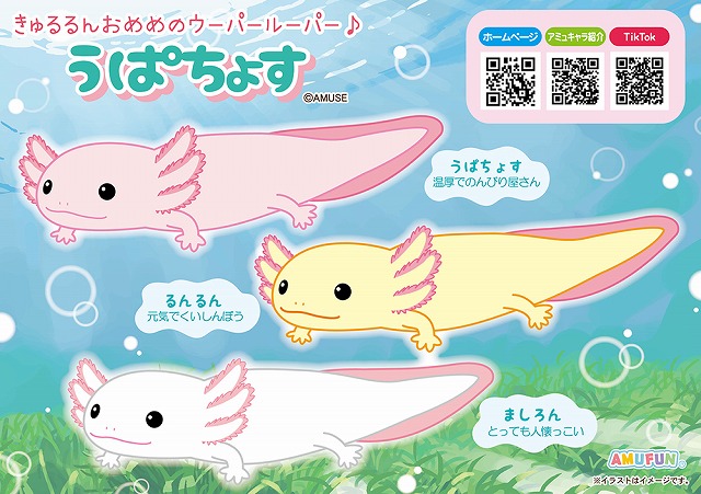 ≪12月の新商品≫豆しば三兄弟おやすみメロディギミック-NEW ITEM！