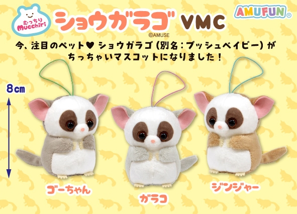 むっちりショウガラゴVMC