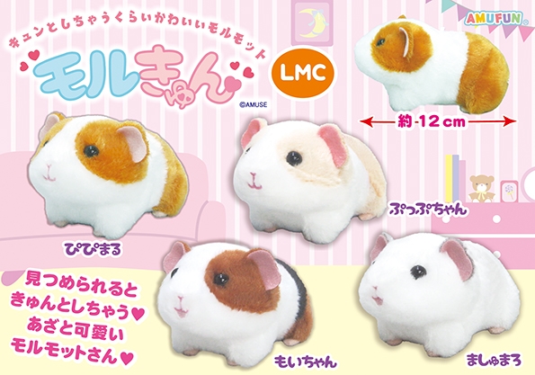 モルきゅんLMC