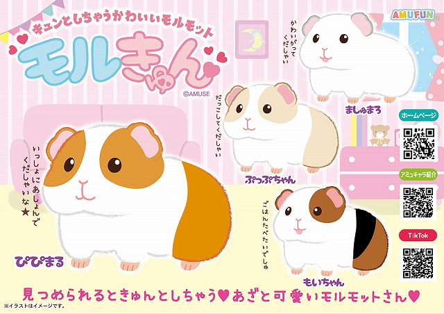 ≪5月の新商品≫モルきゅん -NEW ITEM！