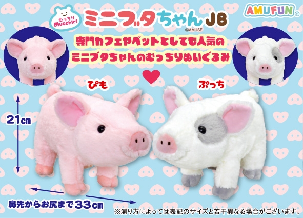 むっちりミニブタちゃんJB