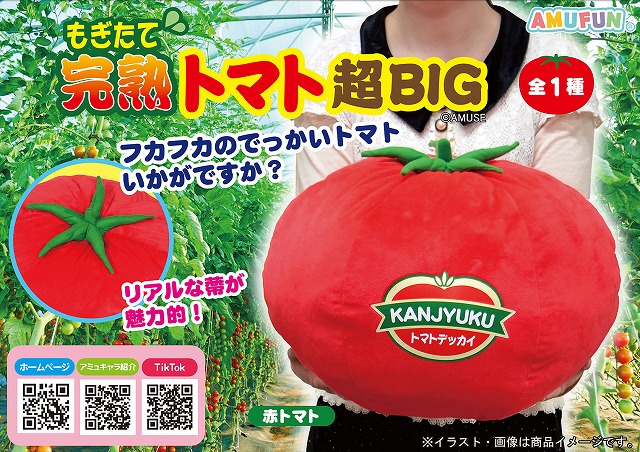 ≪1月の新商品≫ころはむコロンベリー★アミューズプライズ-NEW ITEM！