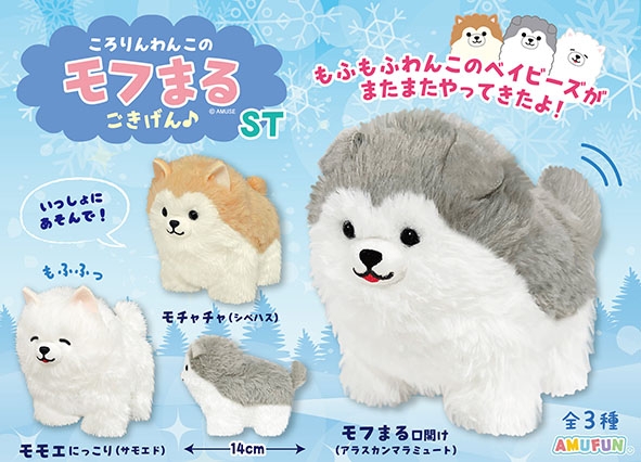 ころりんわんこのモフまるごきげんST