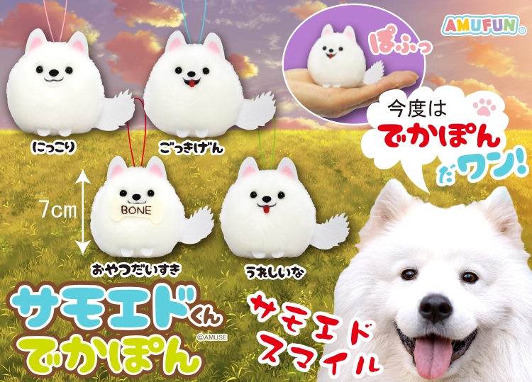 ≪9月の新商品≫サモエドくんでかぽん -NEW ITEM！