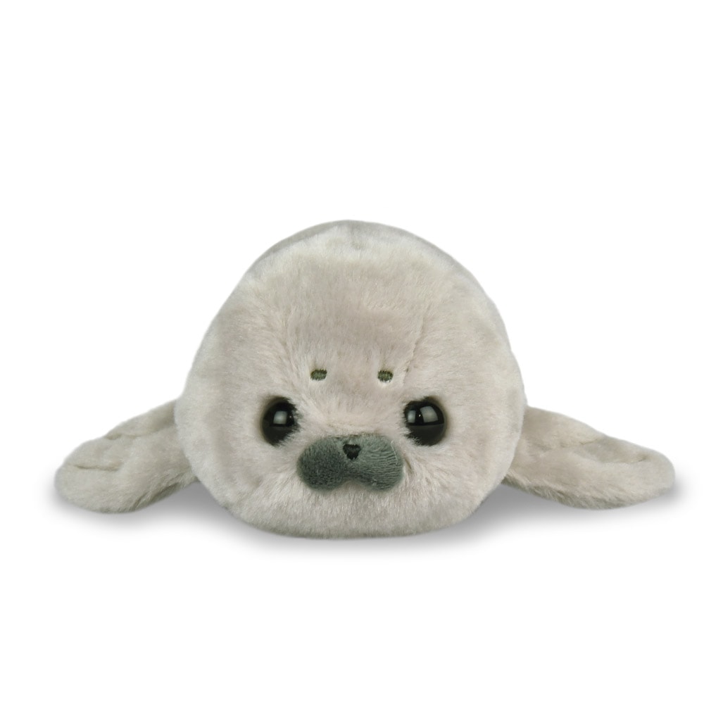 ほわほわアザラシちゃんの赤ちゃん ツミレちゃん