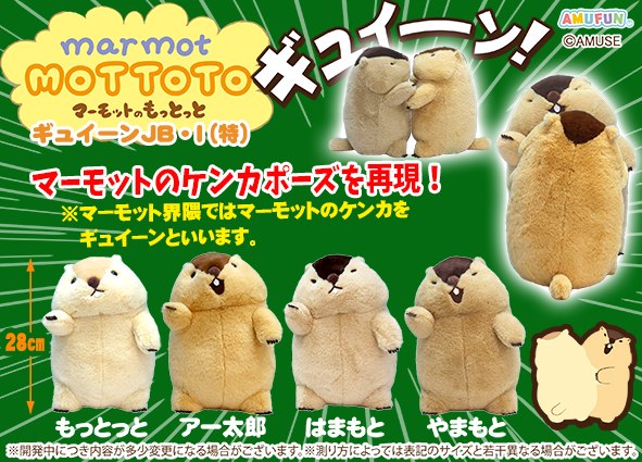 【お知らせ】マーモットのもっとっとギュイーンJB の取扱店舗一覧