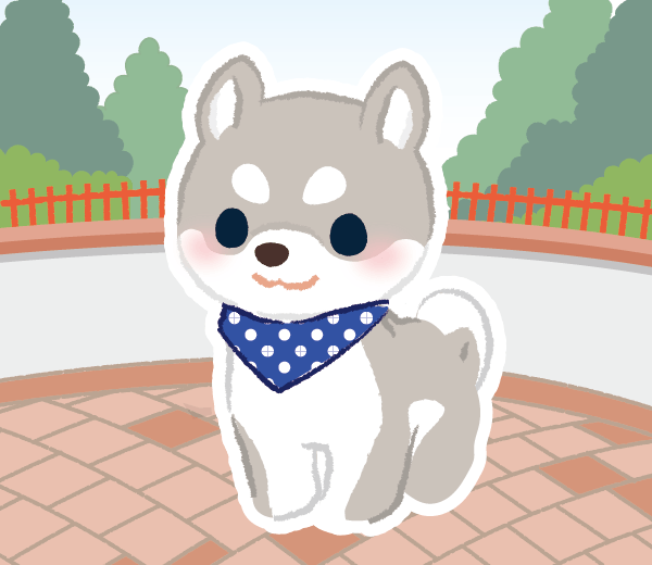 白夜