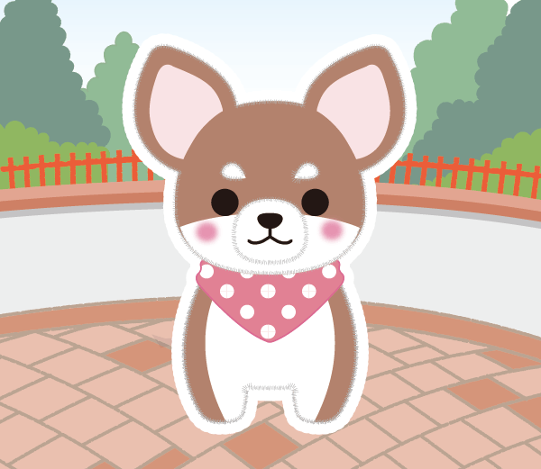 ココア