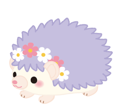 ヒメ