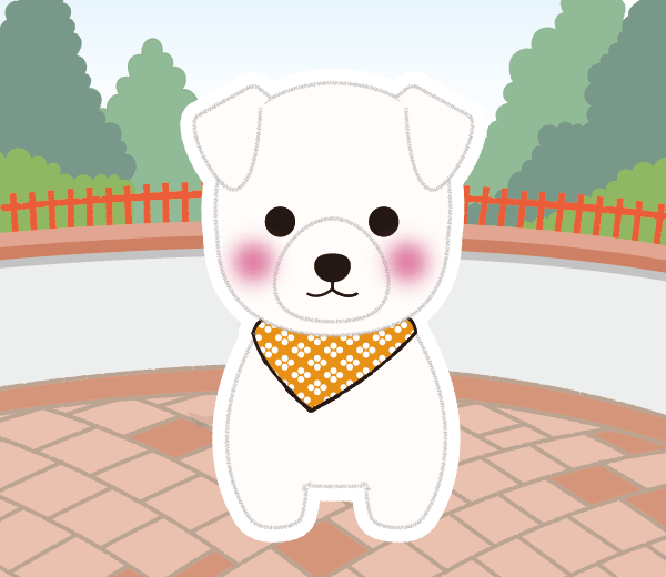 コメ