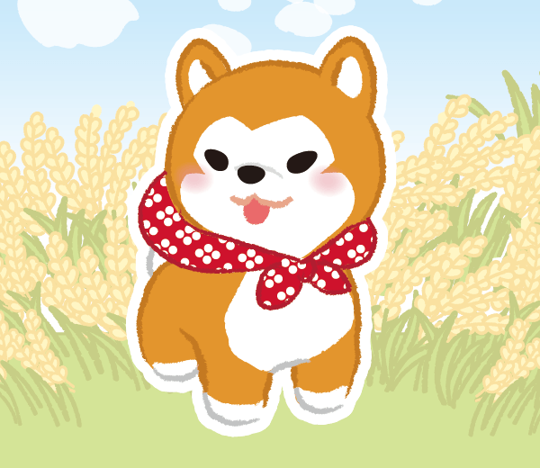 まさお