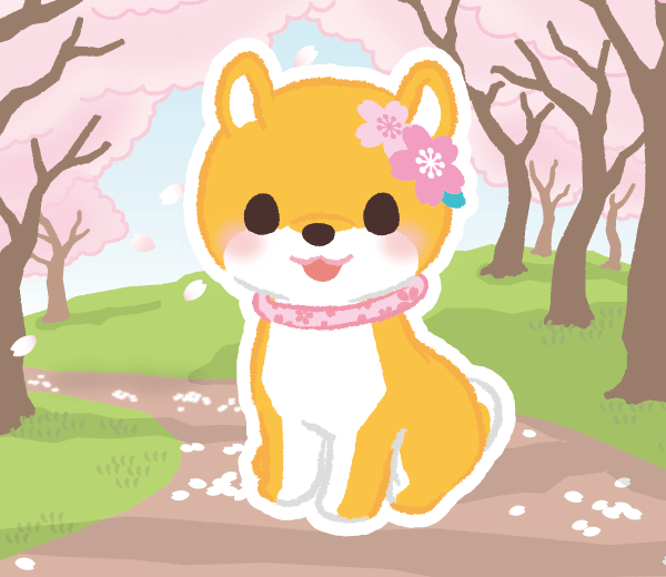 さくら