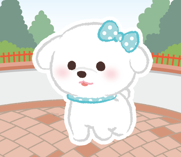 ゆき