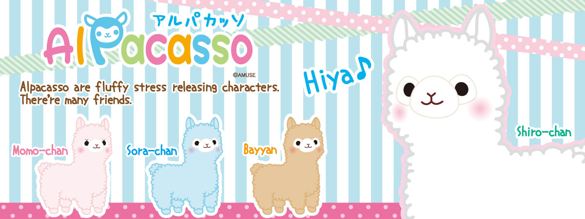 Alpacasso information