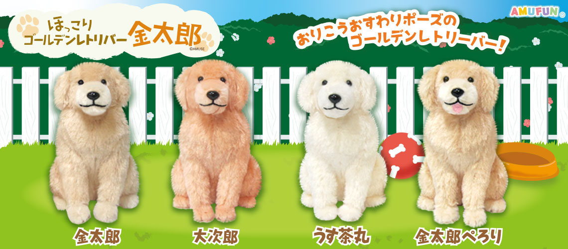 低廉 ほっこり ゴールデンレトリバー 金太郎 うす茶丸 mandhucollege