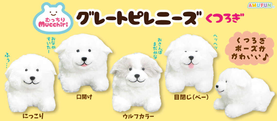 むっちりグレートピレニーズ