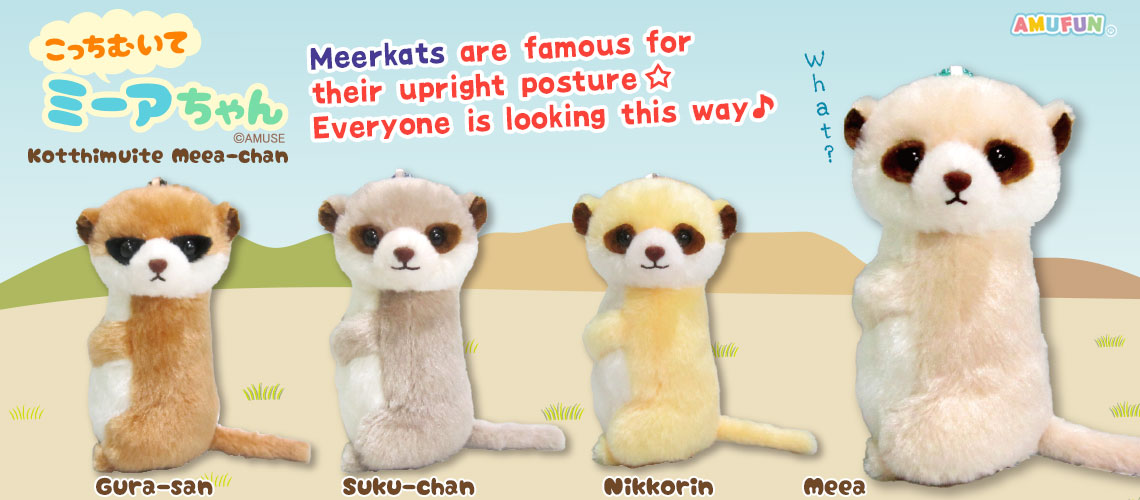 Kotthimuite Meea-chan