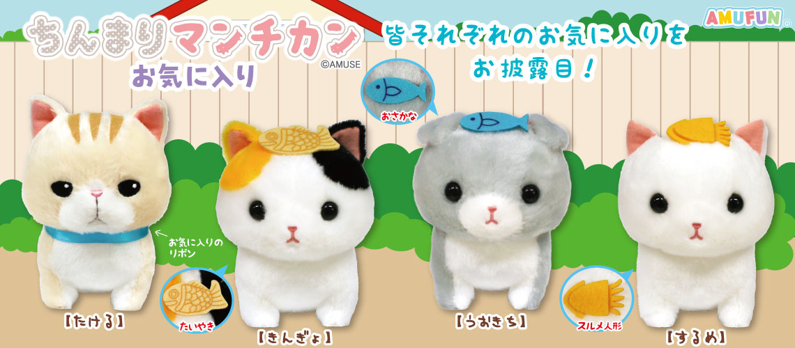 ちんまりマンチカンお気に入り