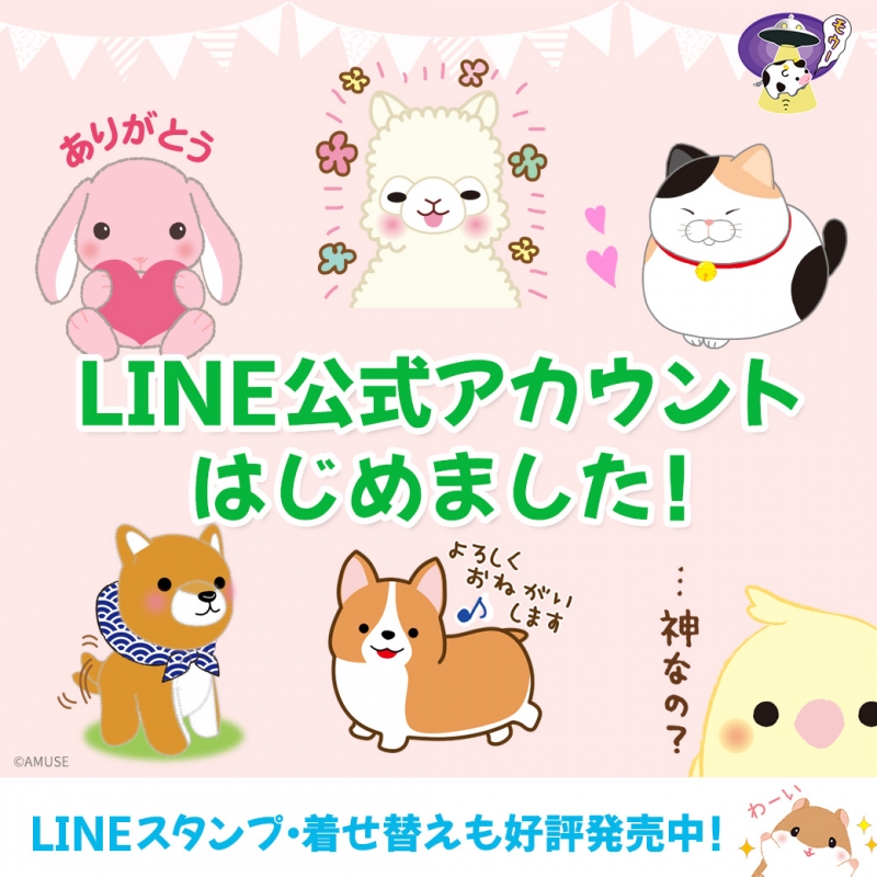 【AMUFUN】LINE公式アカウント始めました♪