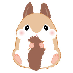 えぞろーるちゃん