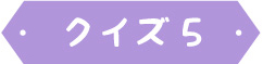 クイズ5