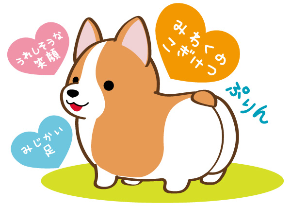 いちにのコーギー紹介
