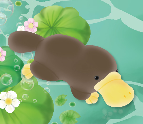 かもおくん