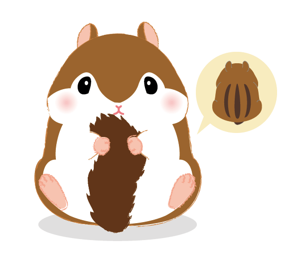 ころリス│ころはむコロン│キャラクター紹介│株式会社アミューズ