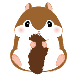 ころリス