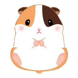 モルちゃん