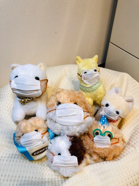 amuse plush official website