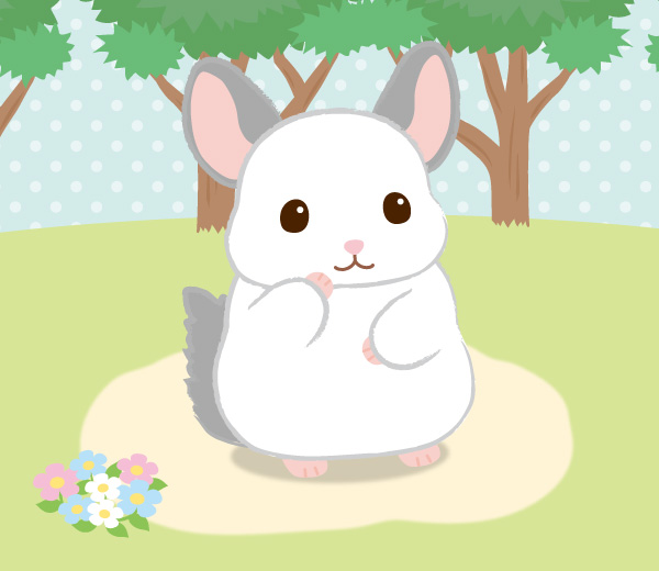 ララちゃん