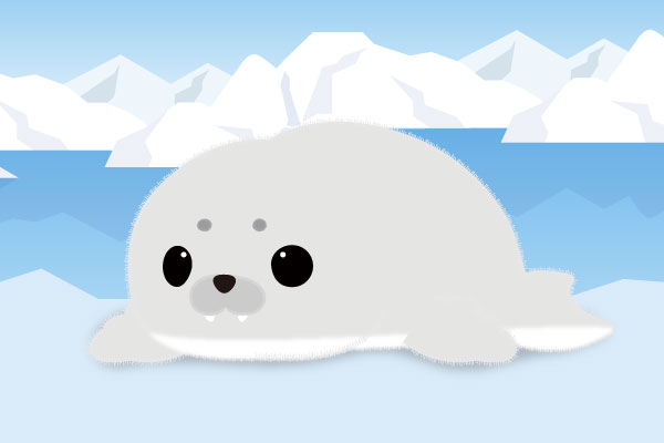 かにちゃん