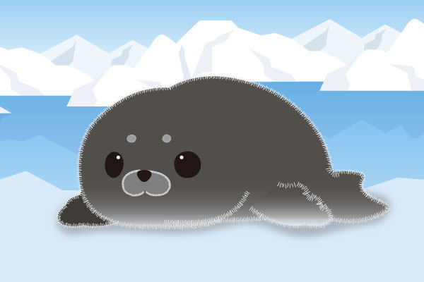 くろほわちゃん