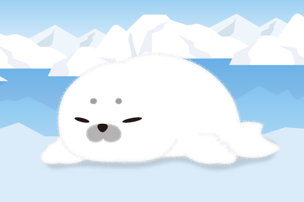 とうふちゃん
