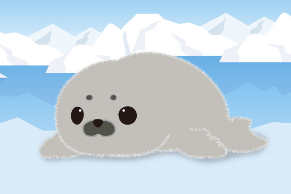 ツミレちゃん