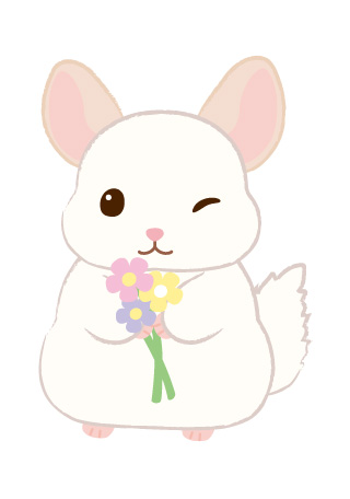 ミミちゃん