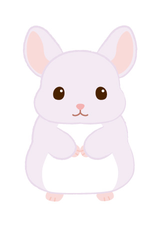 パプちゃん