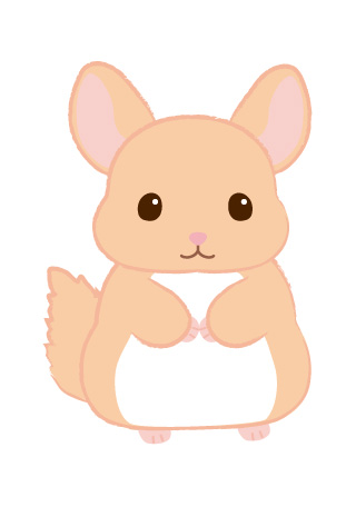 ルルちゃん