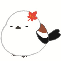おシマ