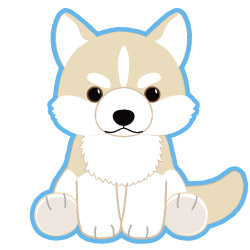 あさひちゃん