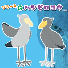 びろ～んとハシビロコウ