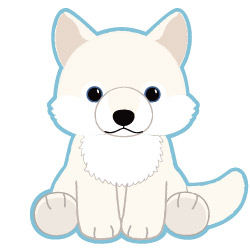 ソルト