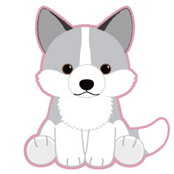 シルヴァ