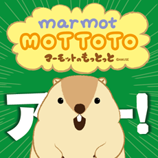 マーモットのもっとっと