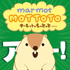 マーモットのもっとっと