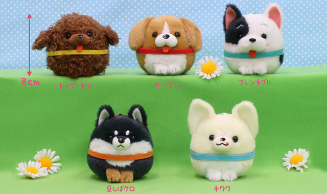 わんこ隊 株式会社アミューズ オリジナルキャラクターの企画 製造 販売事業 わんこ隊 株式会社アミューズ オリジナルキャラクターの企画 製造 販売事業